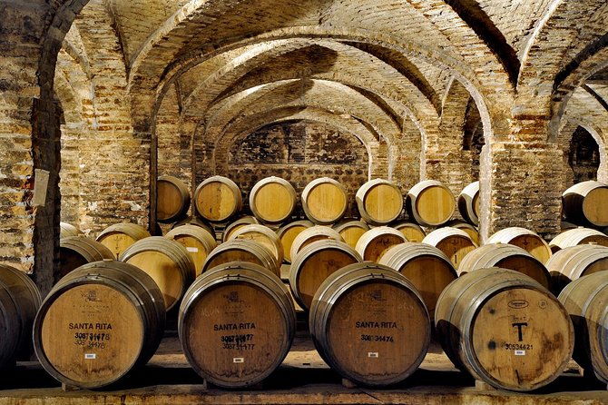 Santa Rita Winery Selection Tour - The 1 hour 10 minute flow at Viña Santa Rita