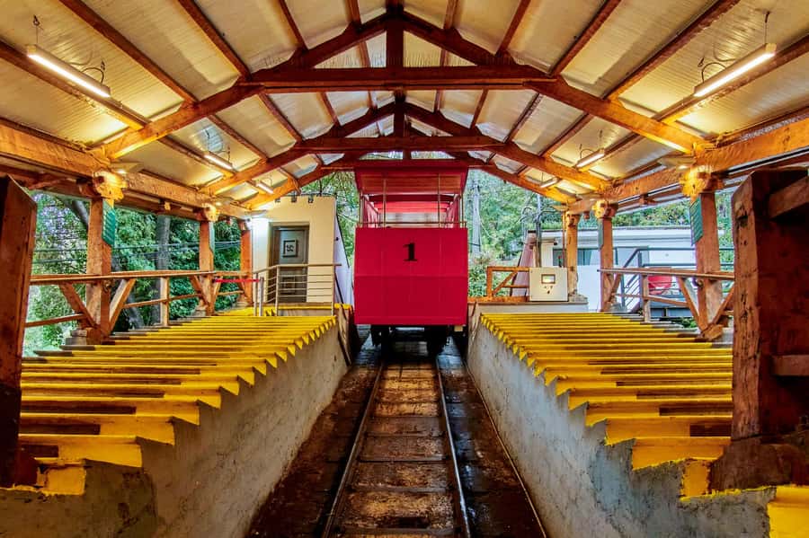 Santiago: 1-Day Hop-On Hop-Off Bus and Cable Car Ticket - Cerro San Cristóbal: Teleférico and Funicular Plus Panoramic Options