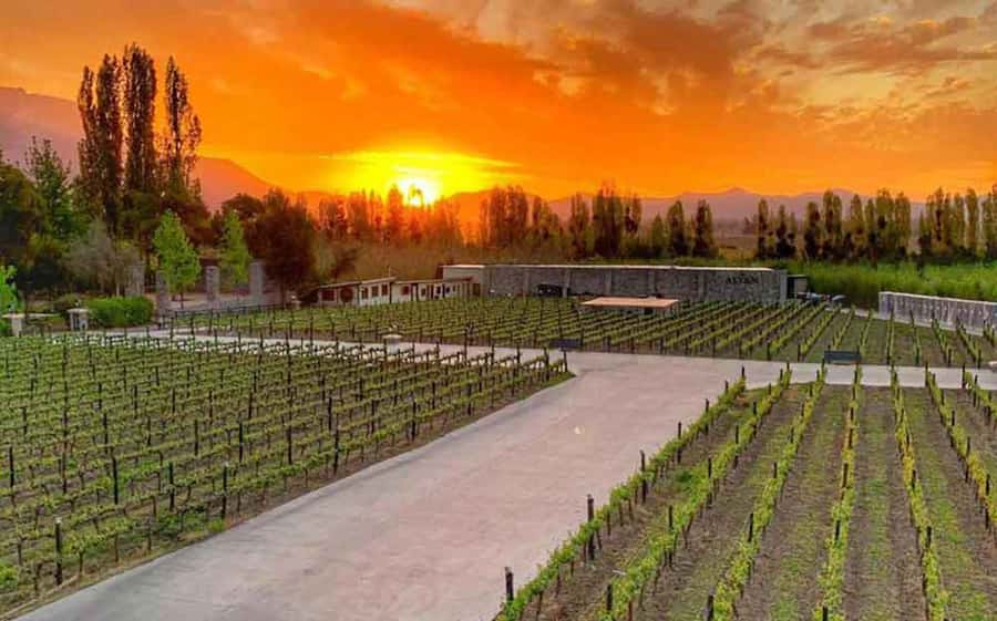 Santiago: Alyan Winery Sunset with Wine Tastings and Dinner - Food that keeps the afternoon easy: cheeses, hams, nuts, then dinner