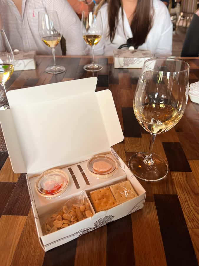 Santiago: Alyan Winery Sunset with Wine Tastings and Dinner - Language, group vibe, and why the guide matters