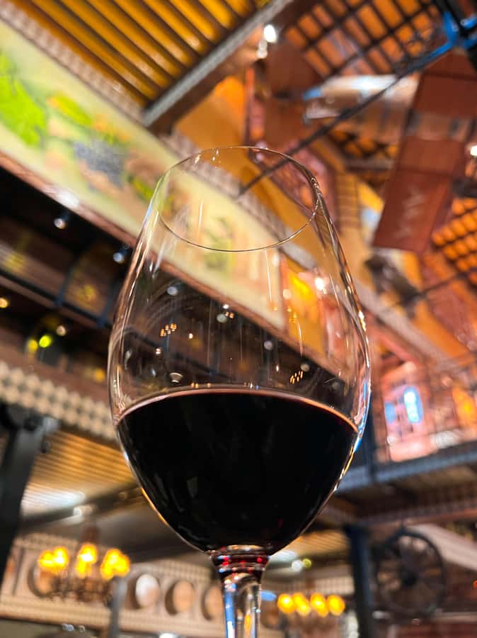 Santiago: Alyan Winery Sunset with Wine Tastings and Dinner - Who should book Alyan Sunset, and who should skip it