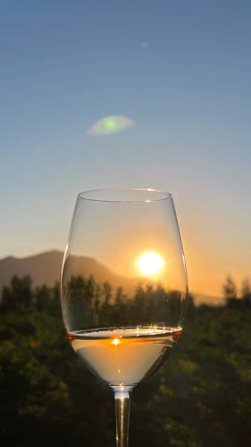 Santiago: Alyan Winery Sunset with Wine Tastings and Dinner - Quick checklist so the day runs smoothly