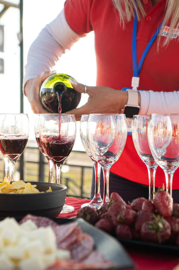 Santiago: Andes Mountains Sunset and Valle Nevado & Picnic - Key highlights you’ll actually feel