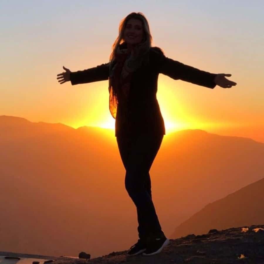 Santiago: Andes Mountains Sunset and Valle Nevado & Picnic - Price and value: why this can feel like a steal at $41