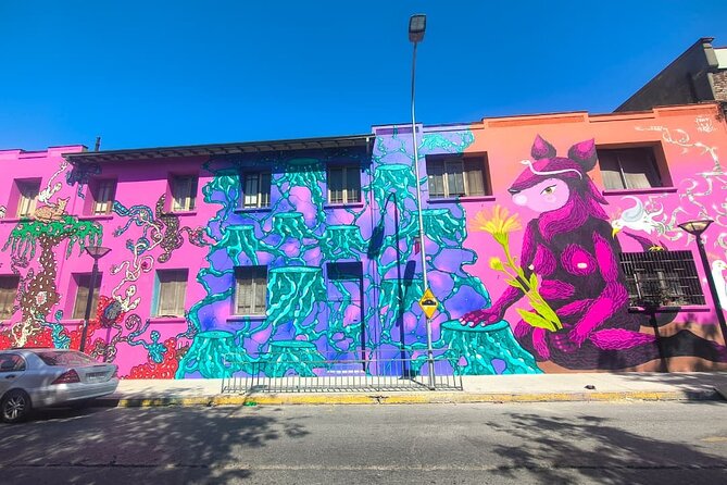 Santiago Barrio Yungay Street Art Walking Tour Experience - Key Highlights You Should Know Before You Go