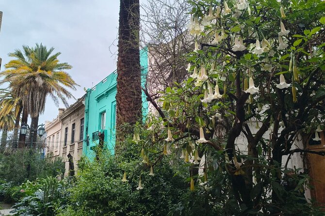 Santiago Barrio Yungay Street Art Walking Tour Experience - Peluquería Francesa and Boulevard Lavaud: A Hair Salon With Staying Power
