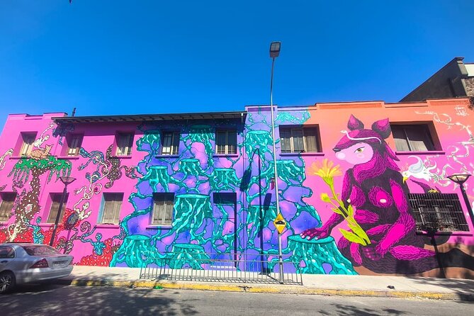 Santiago Barrio Yungay Street Art Walking Tour Experience - The Muralists Studio Visit: Where Street Art Becomes a Conversation