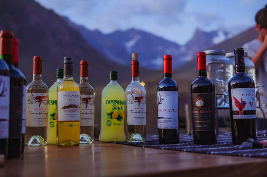 Santiago: Cajón del Maipo Hot Springs & Chilean Barbecue - Who This Tour Fits Best, and Who Should Skip It