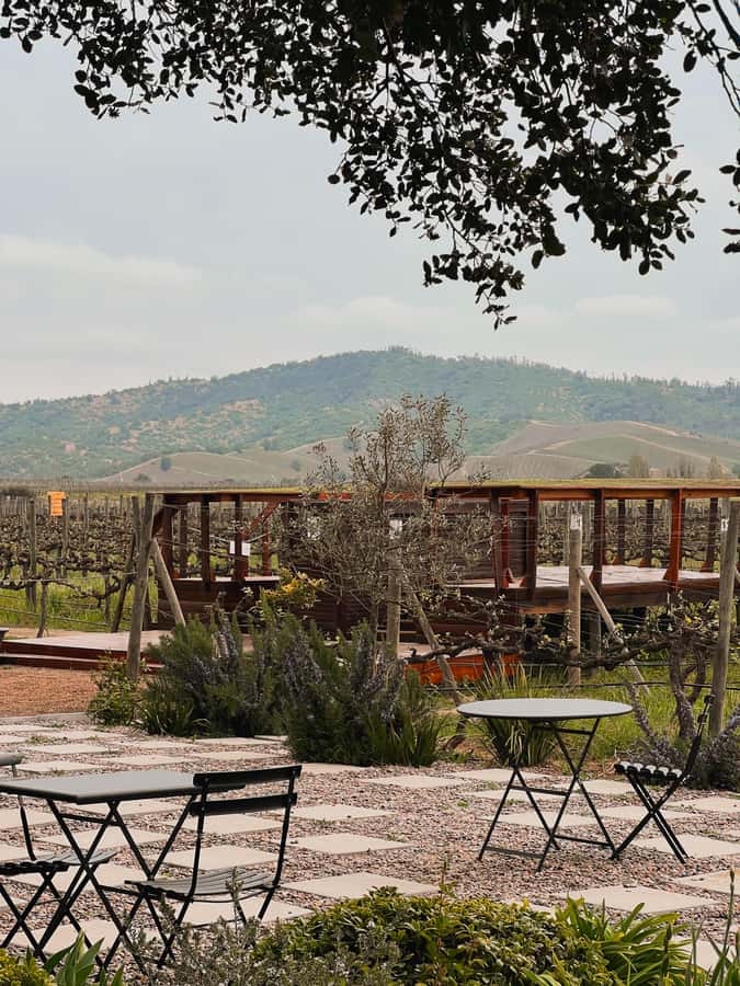 Santiago: Casa del Bosque Winery with Tasting and Lunch - The winery tour at Casa del Bosque, where the photos and context come from