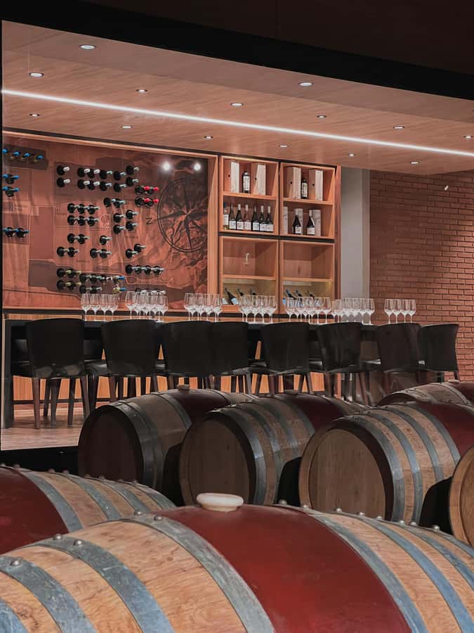 Santiago: Casa del Bosque Winery with Tasting and Lunch - Four wine tastings with a sommelier, how to get more than just sipping