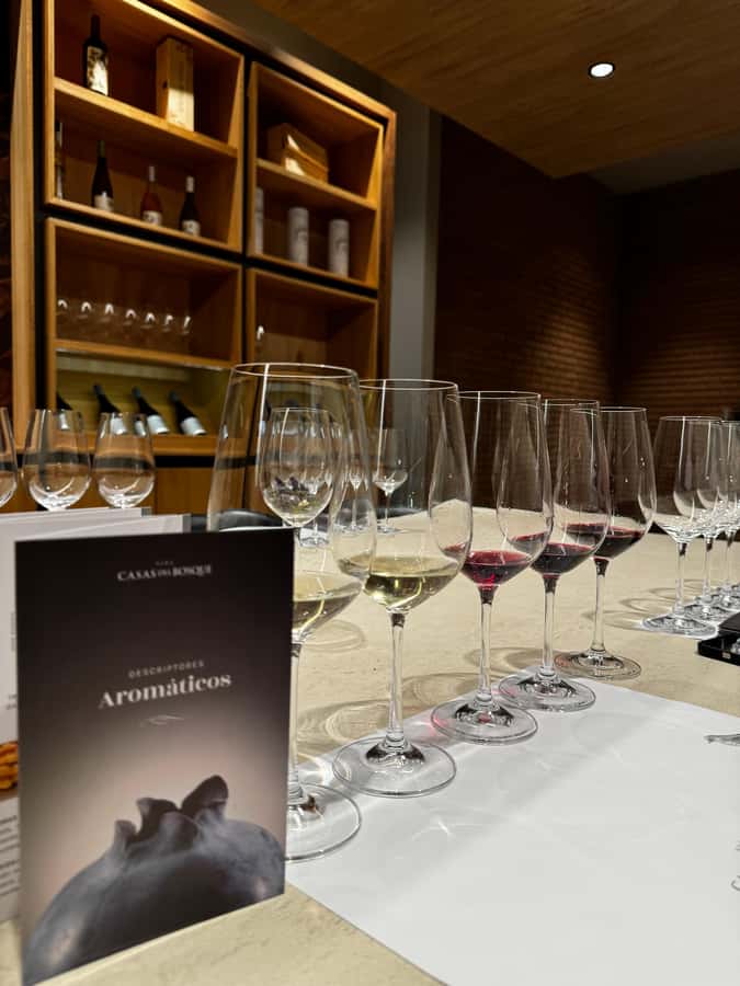 Santiago: Casa del Bosque Winery with Tasting and Lunch - Price and value, what you’re really paying for