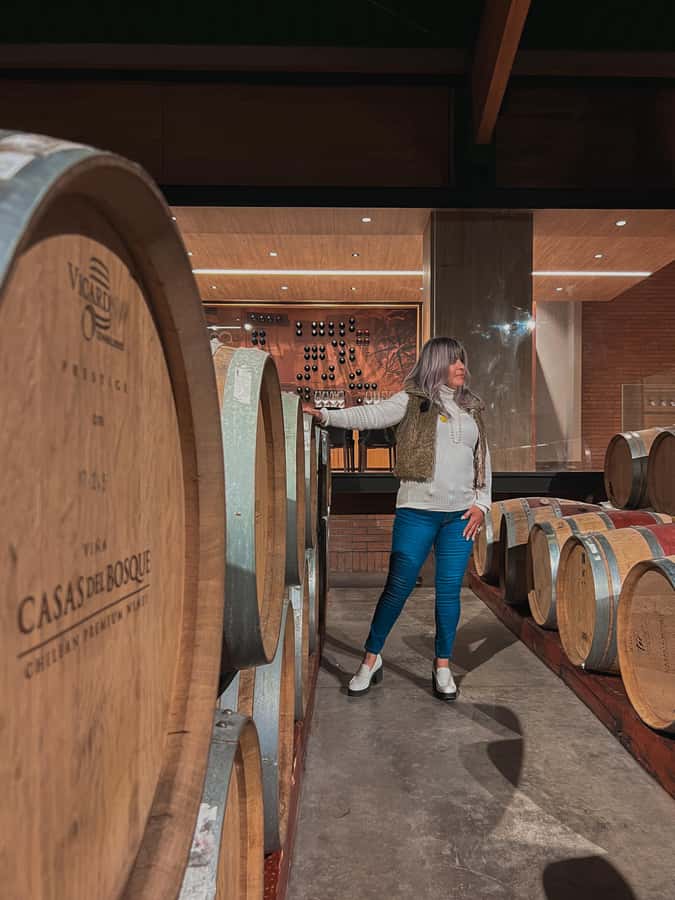 Santiago: Casa del Bosque Winery with Tasting and Lunch - Who this tour is best for, and who should think twice