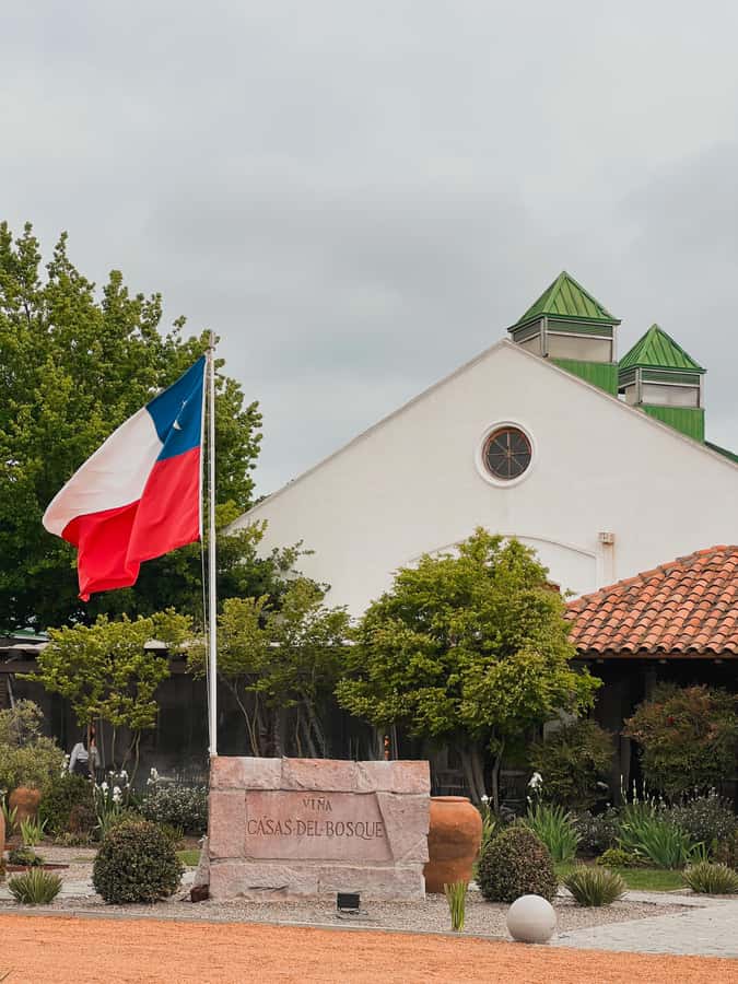 Santiago: Casa del Bosque Winery with Tasting and Lunch - Pickup and the 5-hour rhythm in Santiago