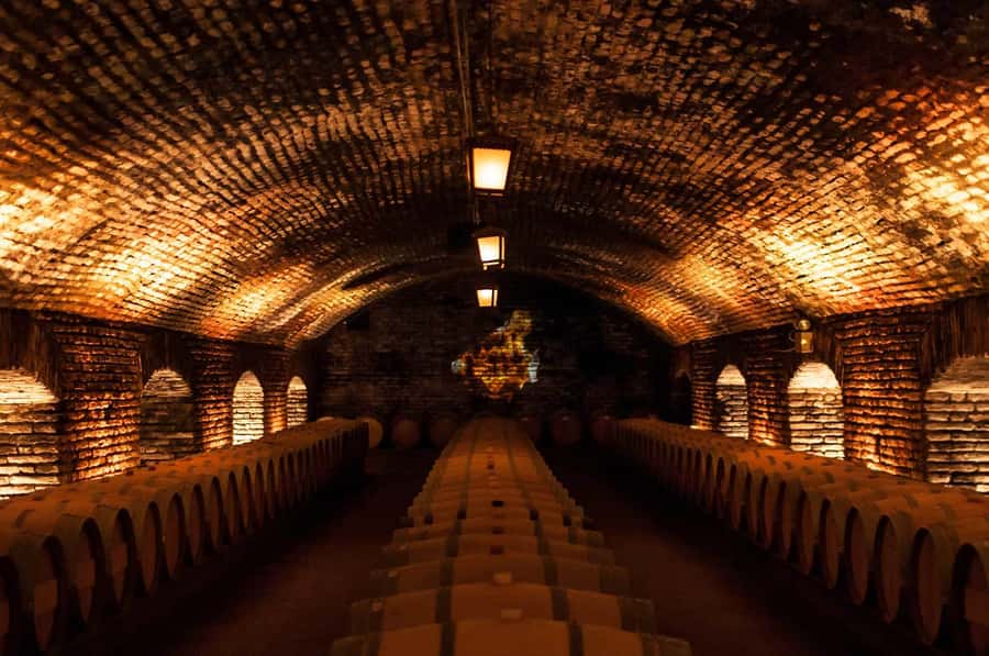 Santiago: Concha y Toro and Undurraga Vineyards Tour - Key points before you go