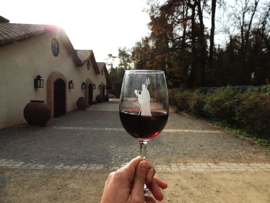 Santiago: Concha y Toro and Undurraga Vineyards Tour - Stop 1: Viña Undurraga and its one-hour-and-change winery tour