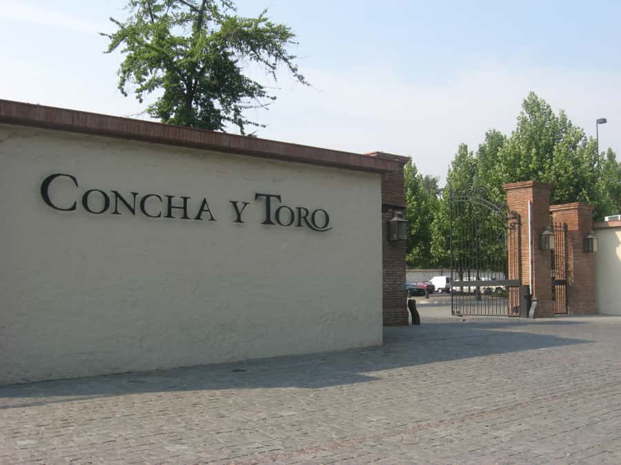 Santiago: Concha y Toro and Undurraga Vineyards Tour - The people factor: guide quality and how the day feels in motion