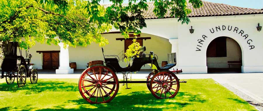 Santiago: Concha y Toro and Undurraga Vineyards Tour - The day’s real timing: 8:00 pickup, long return, short on free time