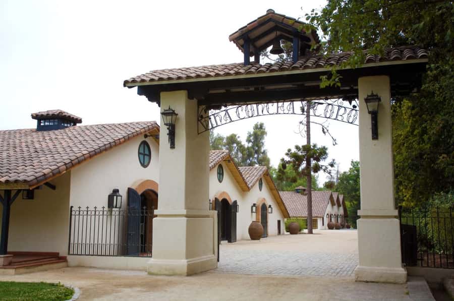 Santiago: Concha y Toro Vineyard Tour w/ Transfer & Tasting - Why Concha y Toro in Pirque makes a great half-day from Santiago