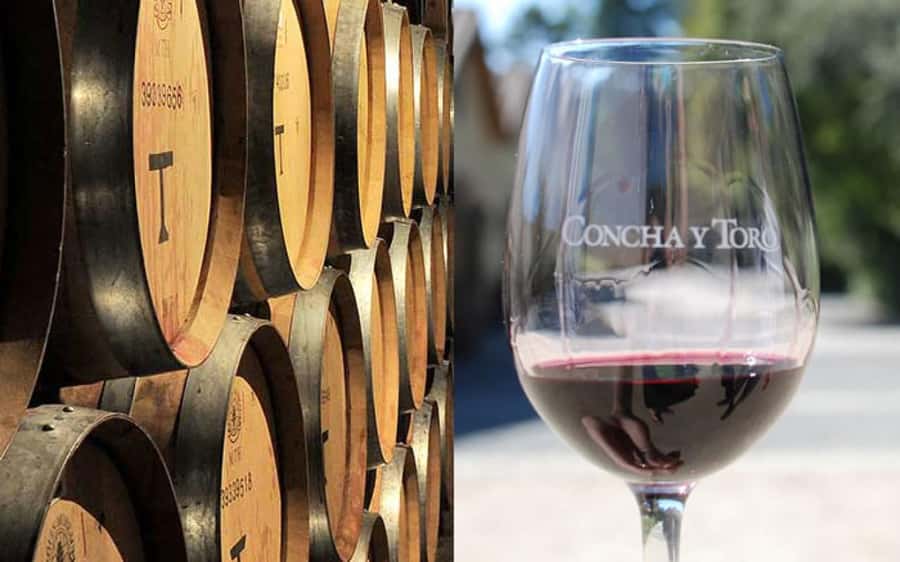 Santiago: Concha y Toro Vineyard Tour w/ Transfer & Tasting - Guides and language: what matters for a smooth tour