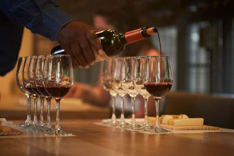 Santiago: Concha y Toro Vineyard Tour w/ Transfer & Tasting - Hotel pickup and van time: what to expect before you even arrive