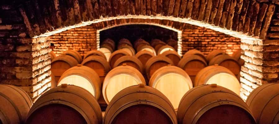 Santiago: Concha y Toro Winery 4-Hour Tour & Sommelier Class - Key Highlights at a Glance