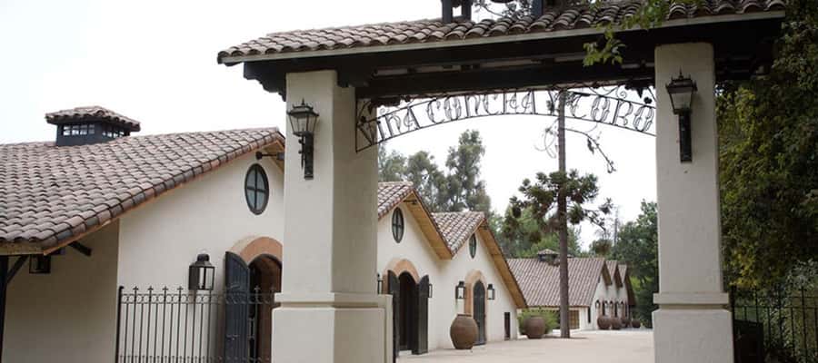 Santiago: Concha y Toro Winery 4-Hour Tour & Sommelier Class - Gardens, Varieties, and the 26 Grape Walk