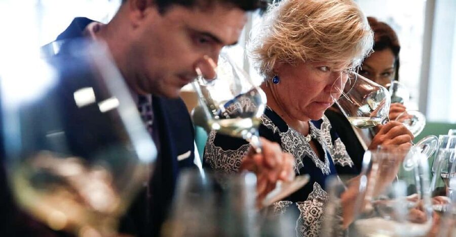 Santiago: Concha y Toro Winery 4-Hour Tour & Sommelier Class - Old Pirque Vineyard Views Over the Maipo Valley