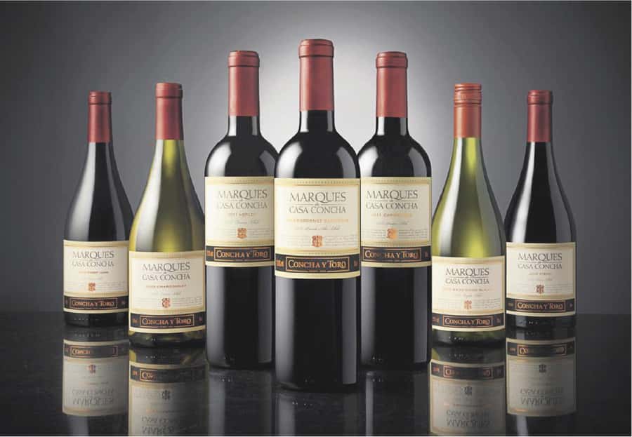 Santiago: Concha y Toro Winery 4-Hour Tour & Sommelier Class - What to Expect From the Sommelier Class, and How to Get More From It