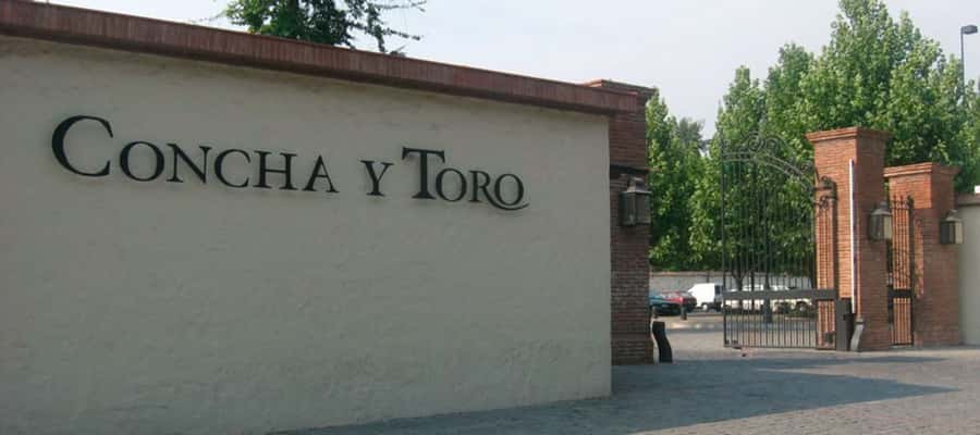 Santiago: Concha y Toro Winery 4–Hour Tour & Sommelier Class - Price and Logistics: What the $88 Buys You
