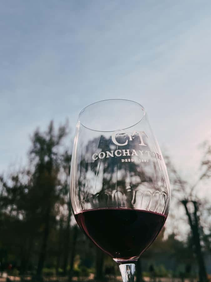 Santiago: Concha y Toro with transfer, tasting & gift cup - The 40-minute ride to the winery: what you’re doing while you travel