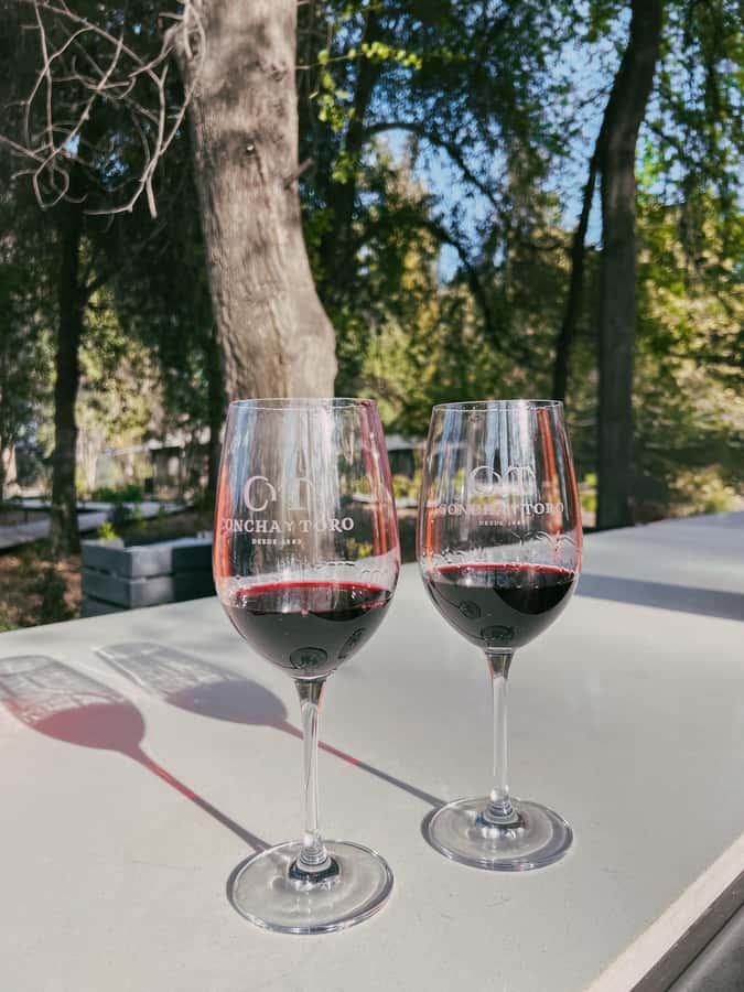 Santiago: Concha y Toro with transfer, tasting & gift cup - The cellar tour and the century-old Casillero del Diablo