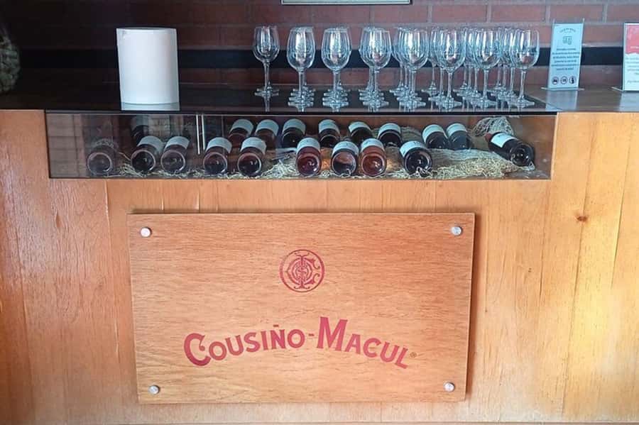 Santiago: Cousiño Macul Vineyard Premium Tasting Tour - Tips to make your 90 minutes go smoothly