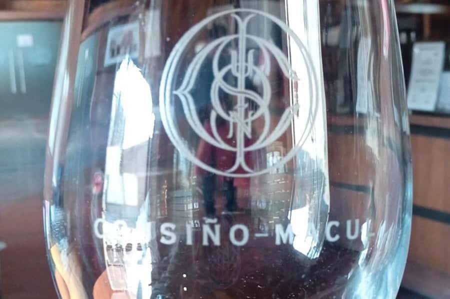 Santiago: Cousiño Macul Vineyard Premium Tasting Tour - Should you book the Cousiño Macul Premium Tasting Tour?