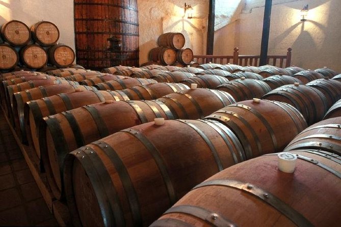 Santiago Full day tour to Maipo Valley, include entraces - Undurraga Vineyard: Stepping into a Chilean Wine Legacy