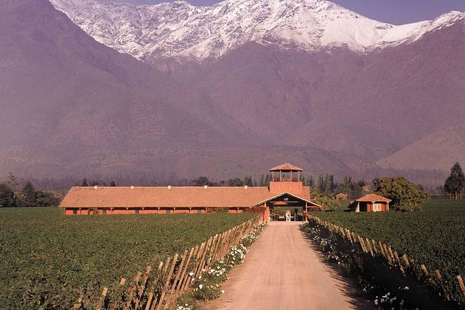 Santiago Full day tour to Maipo Valley, include entraces - Guides, Group Size, and the English Language Reality