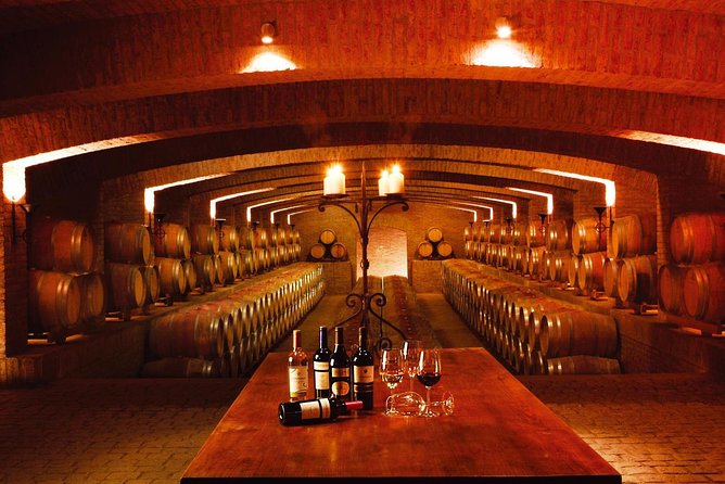 Santiago: Full day visiting Santa Rita & Undurraga vineyards. Entraces included - Walking, Tastings, and Simple Packing That Makes the Day Better