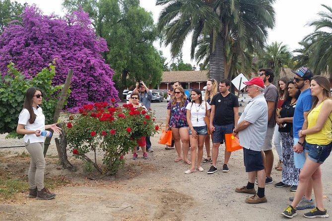 Santiago: Full day visiting Santa Rita & Undurraga vineyards. Entraces included - What the Small Group Usually Improves