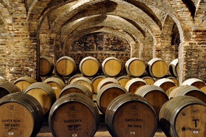 Santiago: Full day visiting Santa Rita & Undurraga vineyards. Entraces included - Best For, Not Ideal For