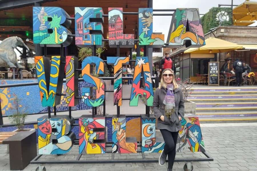 Santiago: Guided Walking Tour of the Historical Old Town - Bellas Artes: Art, Museum Energy, and a Different Side of Downtown