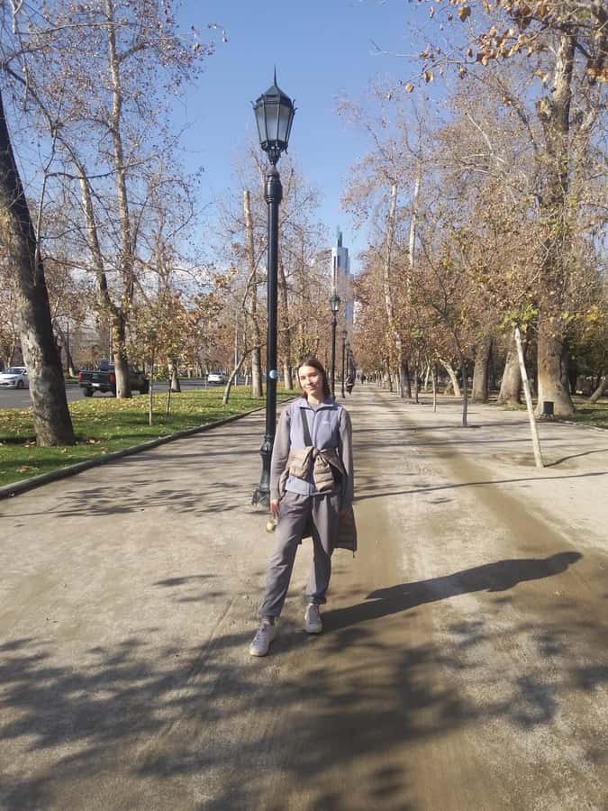Santiago: Guided Walking Tour of the Historical Old Town - Lastarria and Forest Park, Then Rolling Into Bellavista’s Food Streets