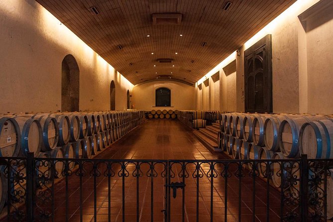 Santiago: Half day visit to Concha y Toro vineyard, include entrace & transport - Hotel pickup, timing, and the real rhythm of the 4 hours