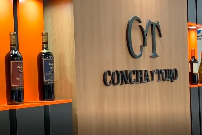 Santiago: Half day visit to Concha y Toro vineyard, include entrace & transport - Price and logistics: when this feels worth $87, and when it might not