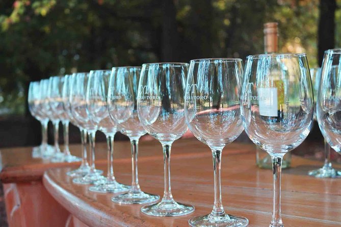 Santiago: Half day visit to Concha y Toro vineyard, include entrace & transport - Who this tour suits best, and how to get the most out of it