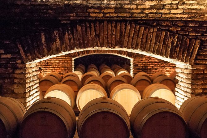 Santiago: Half day visit to Concha y Toro vineyard, include entrace & transport - Should you book this half-day Concha y Toro visit?