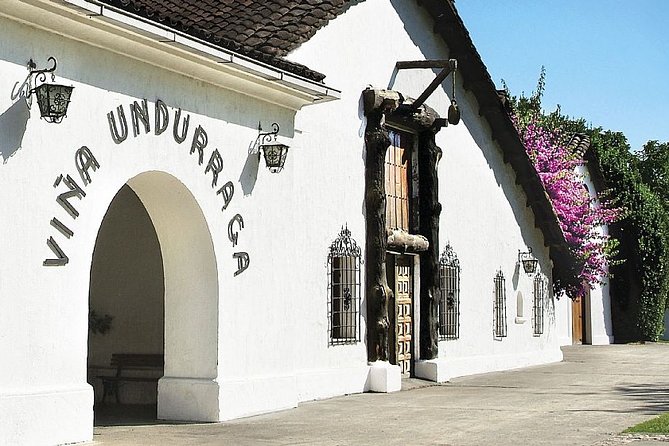 Santiago: Half day Visit to Undurraga vineyard, entrance and transport included - Key Things to Know Before You Go