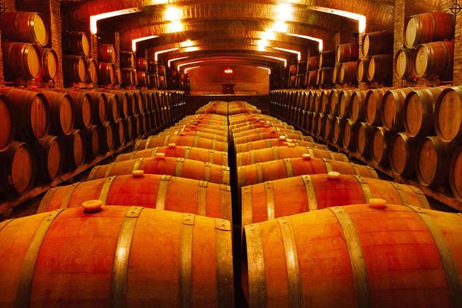 Santiago: Half day Visit to Undurraga vineyard, entrance and transport included - Reserve Wine Tasting: What You Get and How to Make It Count
