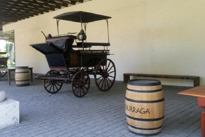 Santiago: Half day Visit to Undurraga vineyard, entrance and transport included - Hotel Pickup and the 4-Hour Rhythm You Should Expect