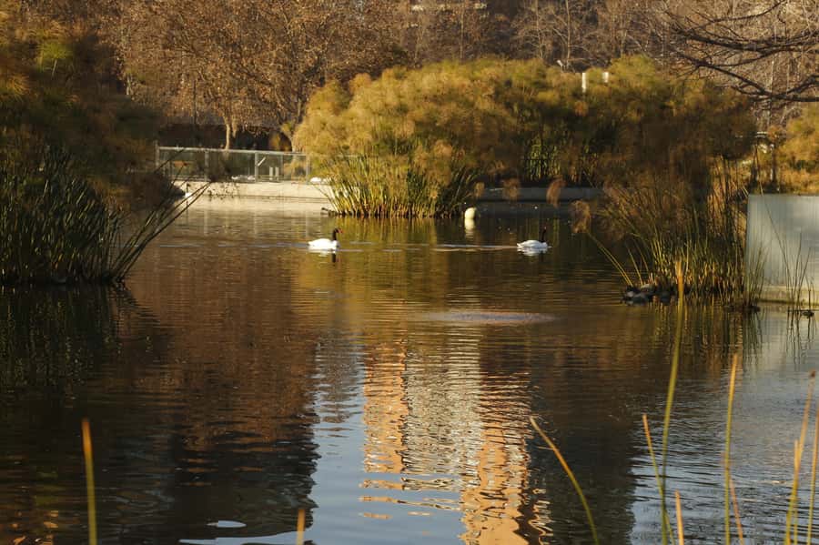 Santiago Half-Day Walking Tour with Hotel Pick up & Brunch - Santa Lucía Hill: Views Worth the Half-Day Trade-Off