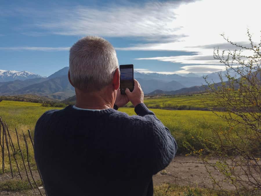 Santiago: Inca Lagoon Tour with Local Vineyard and Tasting - The return route: llamas, restrooms, and one last mountain moment