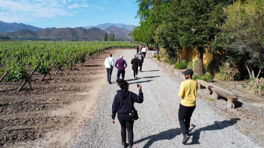 Santiago: Inca Lagoon Tour with Local Vineyard and Tasting - San Esteban vineyard: tasting in a family garden with the mountains behind you